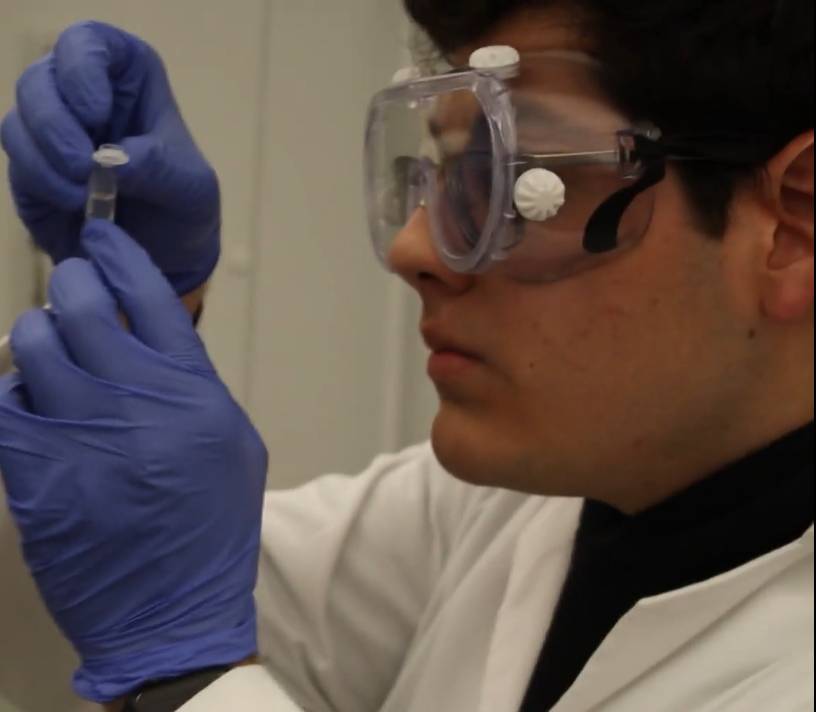 Student conducting research